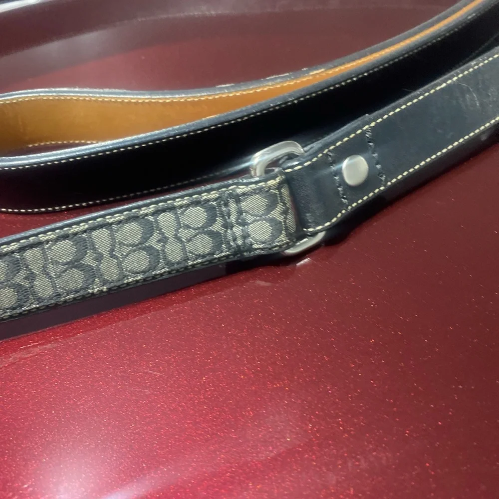 Coach Dog leash and collar